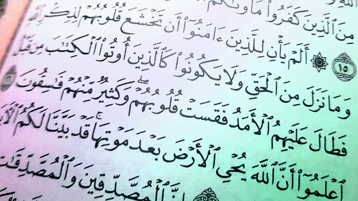 لا نستجدي شهامتكم