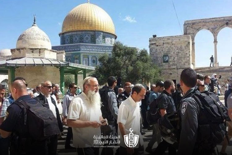 اقتحام جديد للأقصى وإصابة شاب في قلنديا