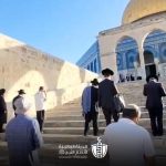 مستوطنون يقتحمون الأقصى وينفذون عشرات الاعتداءات بالضفة المحتلة